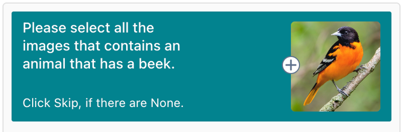 hCaptcha challenge header with prompt